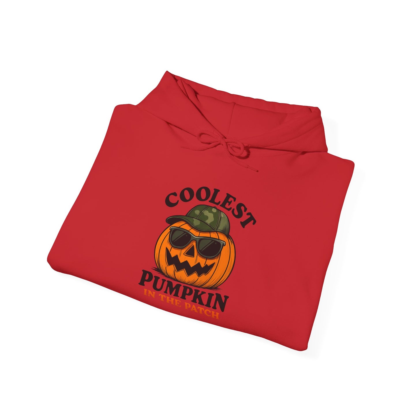 Coolest Pumpkin in the Patch Hoodie