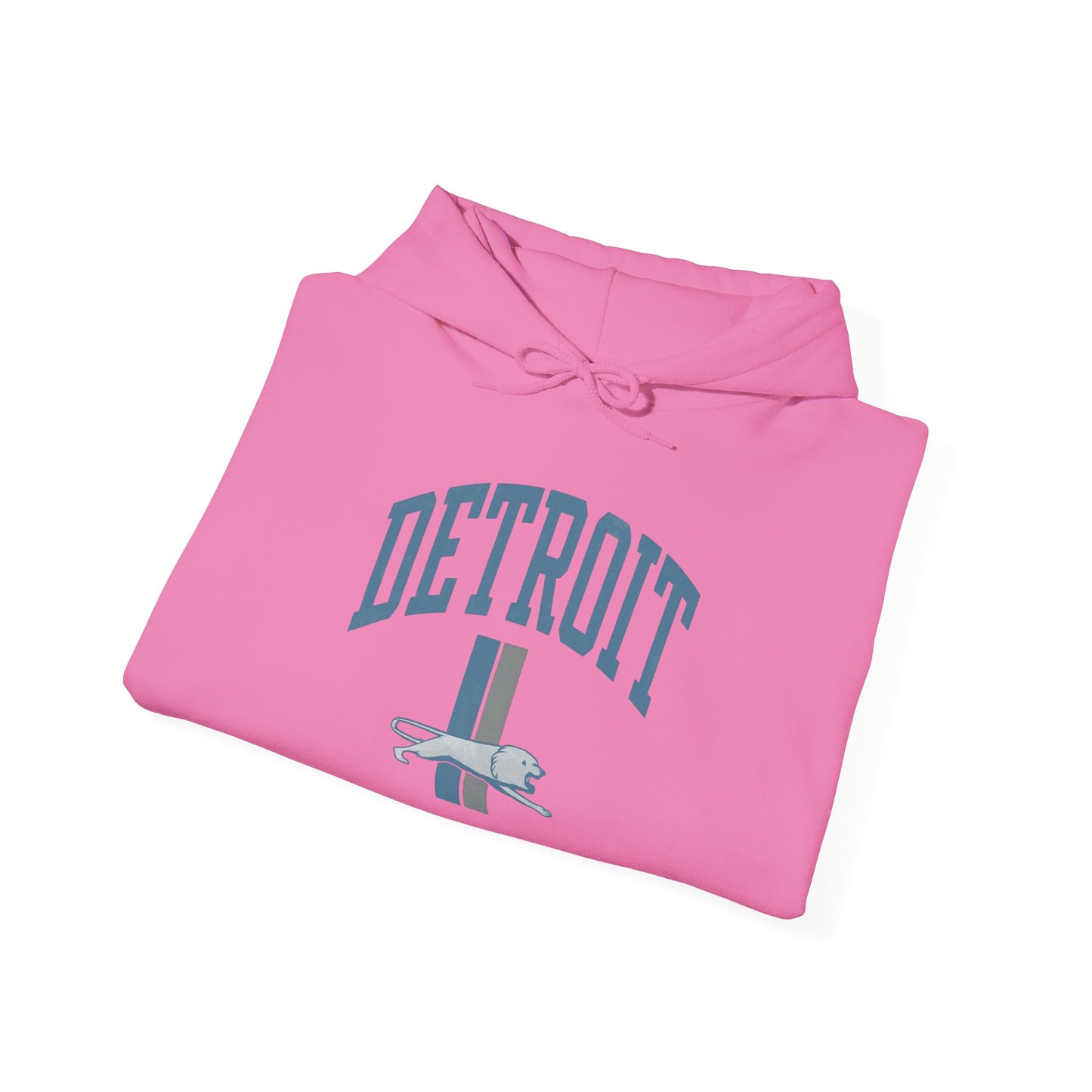 Detroit Graphic Hoodie