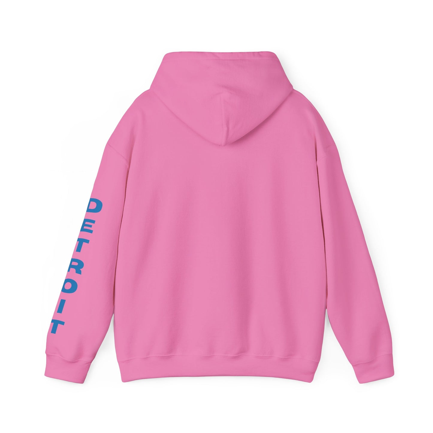 Detroit Inspired Unisex Hoodie